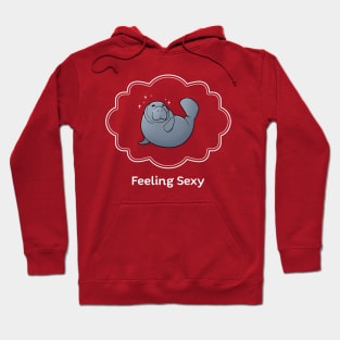 Feeling Sexy Hoodie